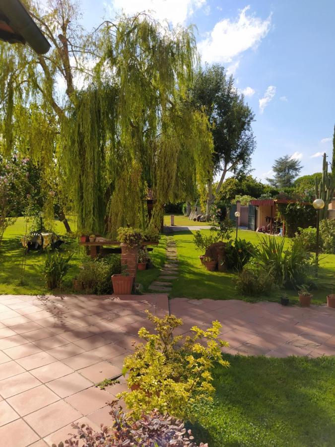 Villa Favilli Pisa Exterior foto